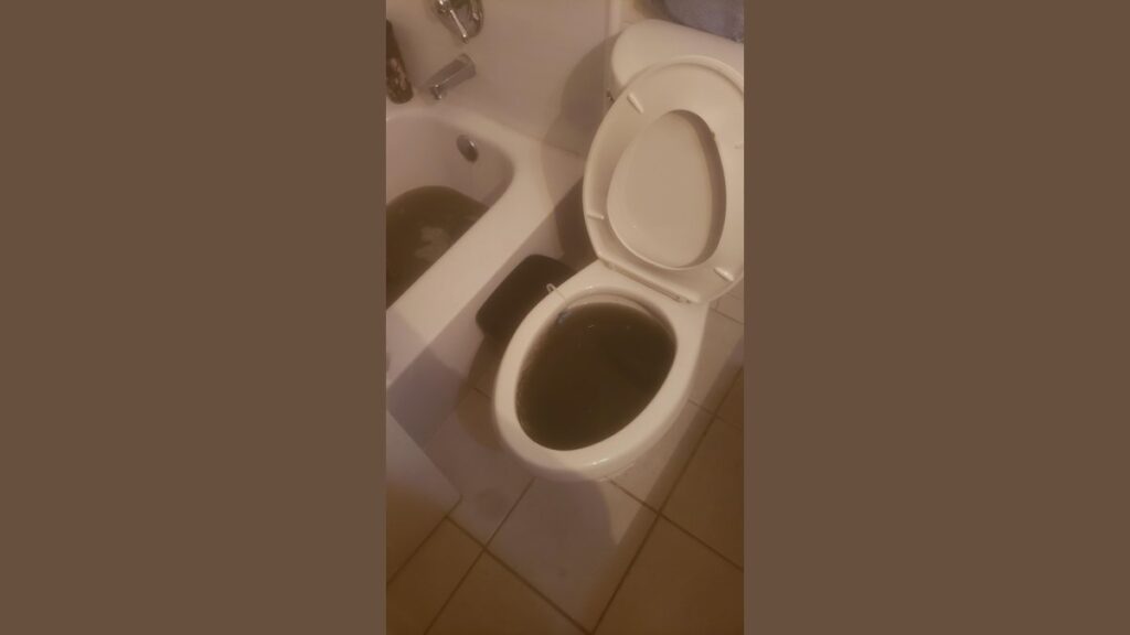 A modern bathroom setting highlighting the connection between a toilet and bathtub drain.