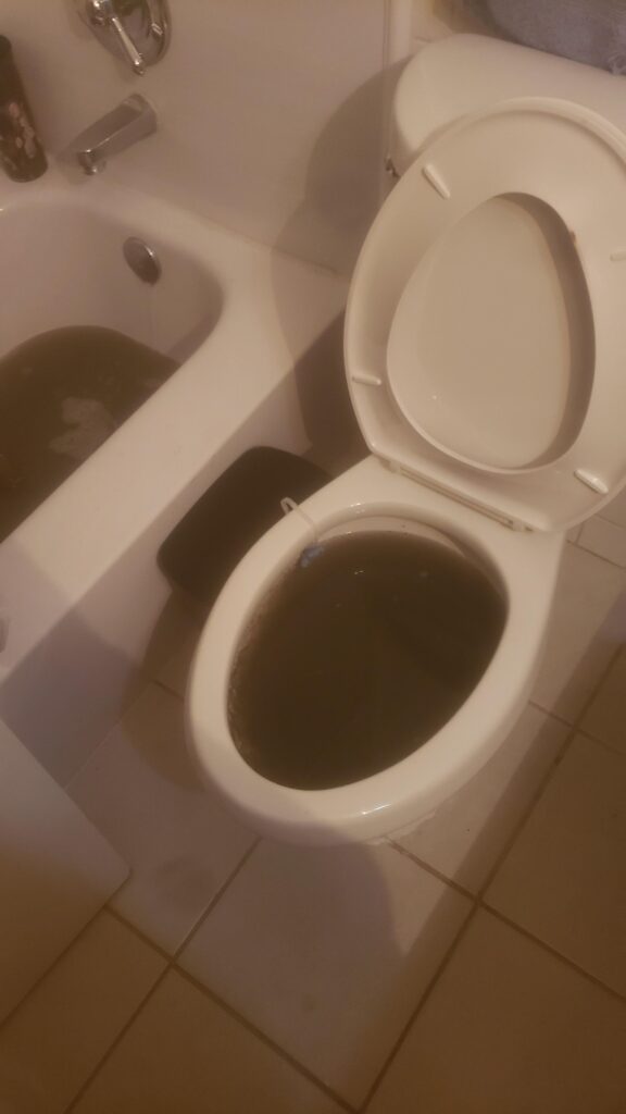 A modern bathroom setting highlighting the connection between a toilet and bathtub drain.