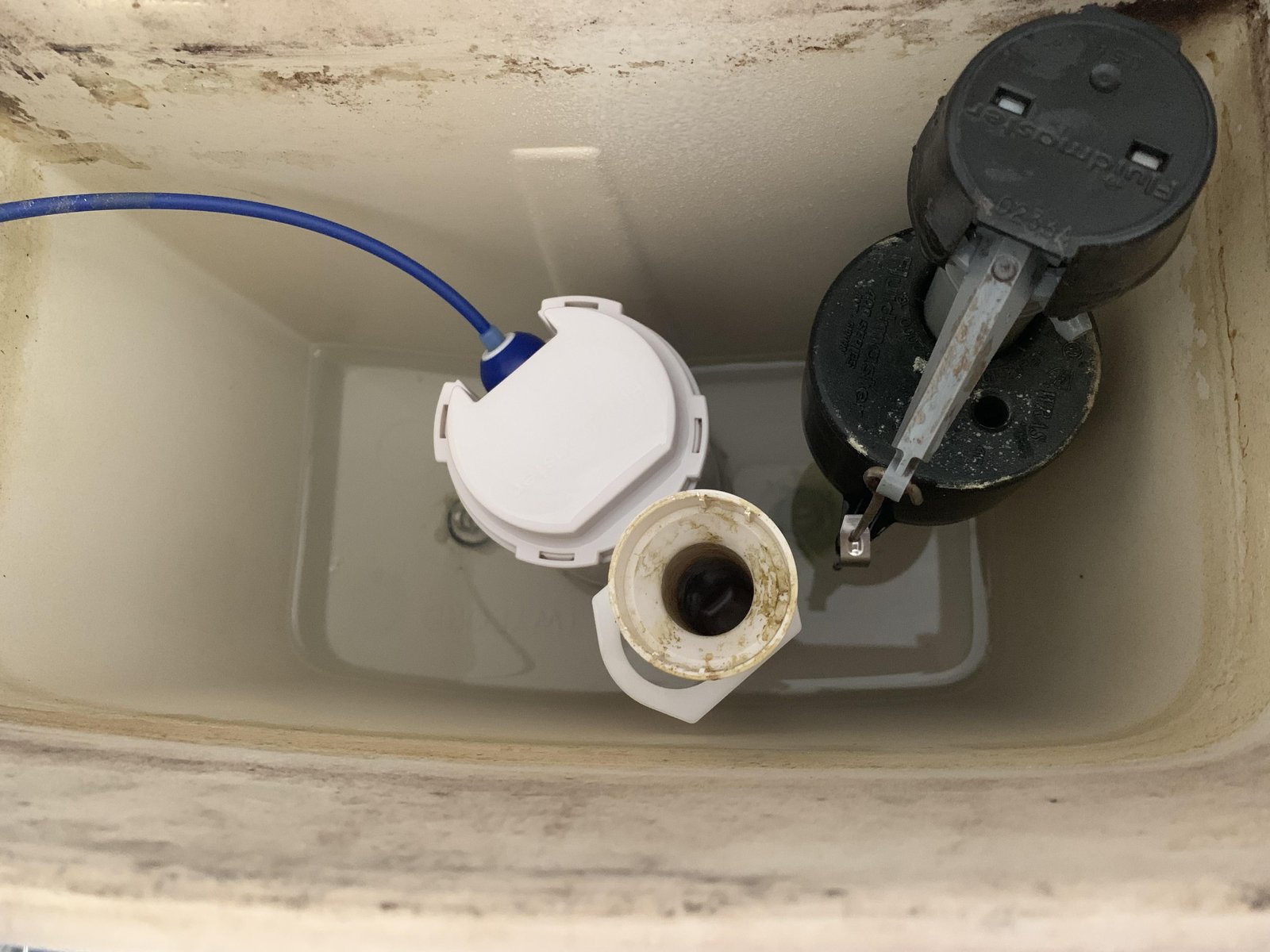 Close-up of a person checking the water shut-off valve behind a toilet tank.