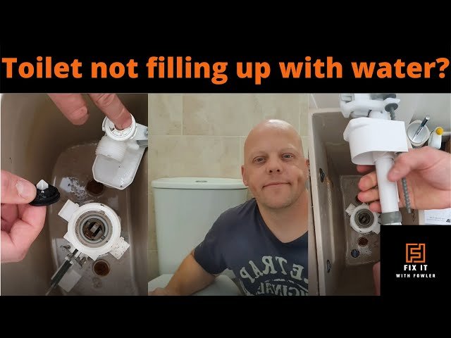 Detailed view of a worn rubber flapper inside a toilet tank needing replacement.