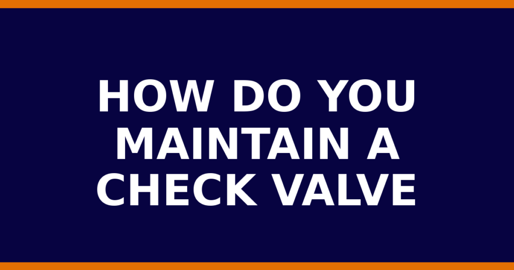 How Do You Maintain A Check Valve