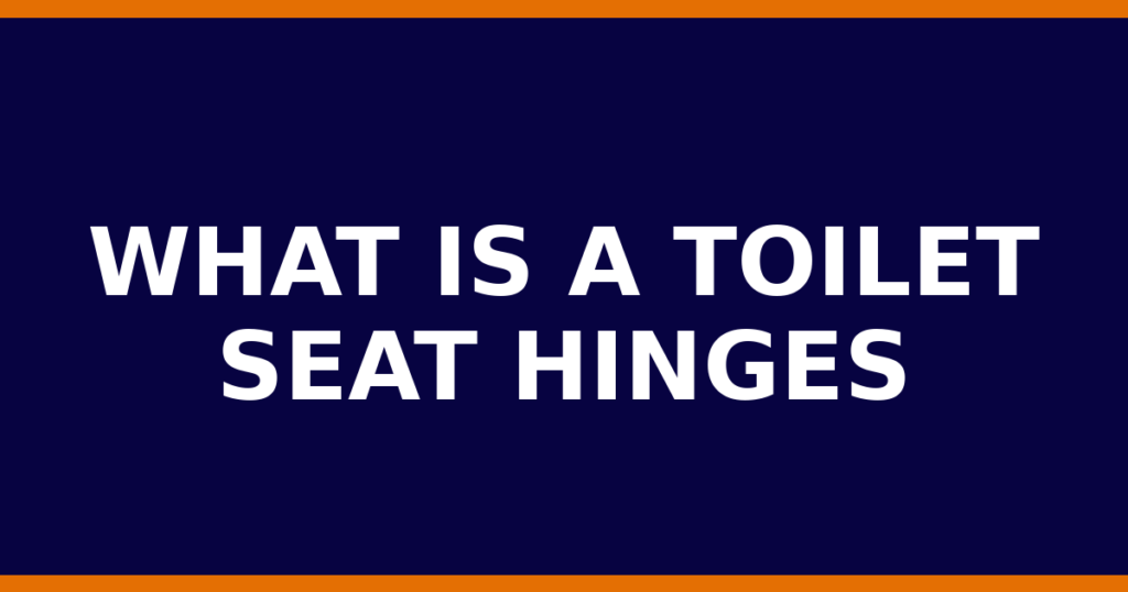 What Is A Toilet Seat Hinges