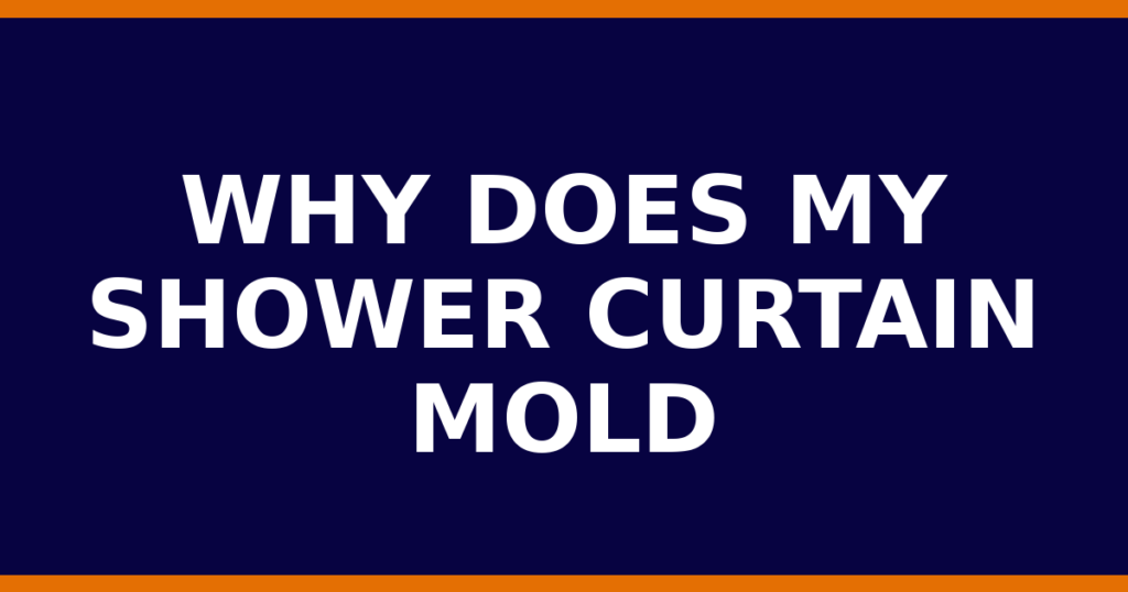 Why Does My Shower Curtain Mold