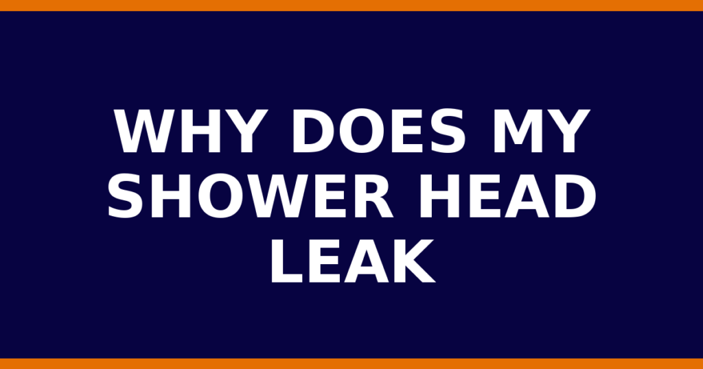 Why Does My Shower Head Leak