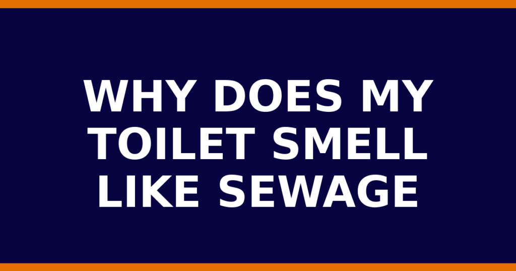 Why Does My Toilet Smell Like Sewage