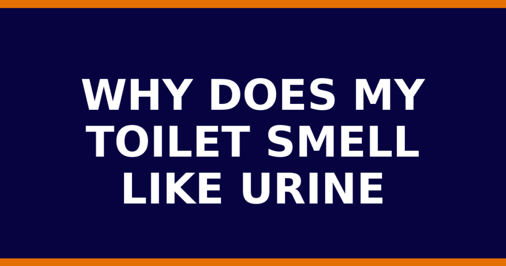 Why Does My Toilet Smell Like Urine