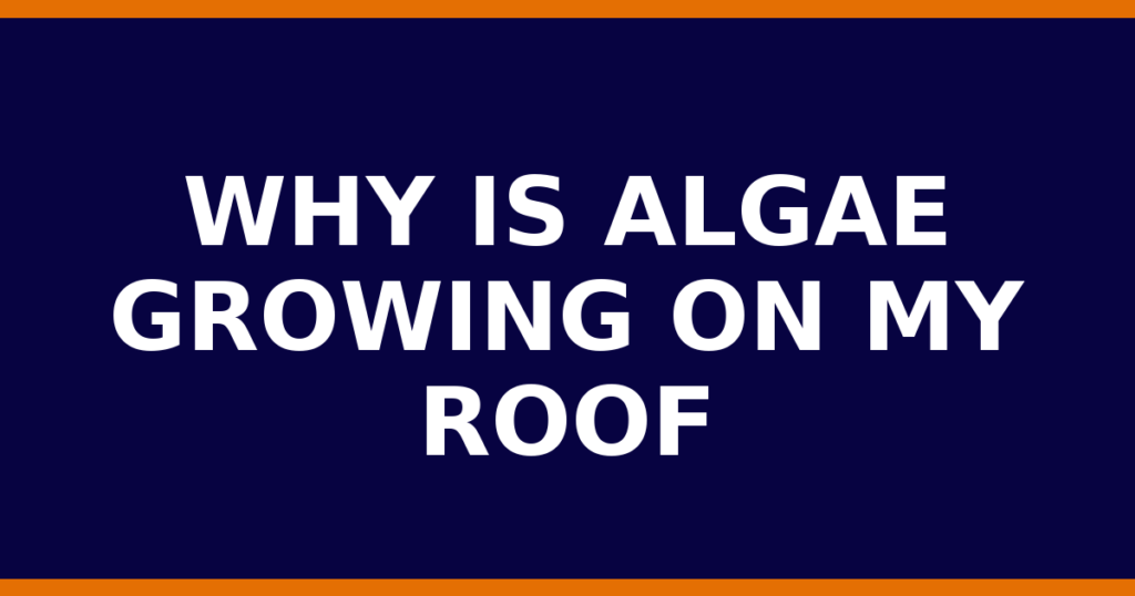 Why Is Algae Growing On My Roof