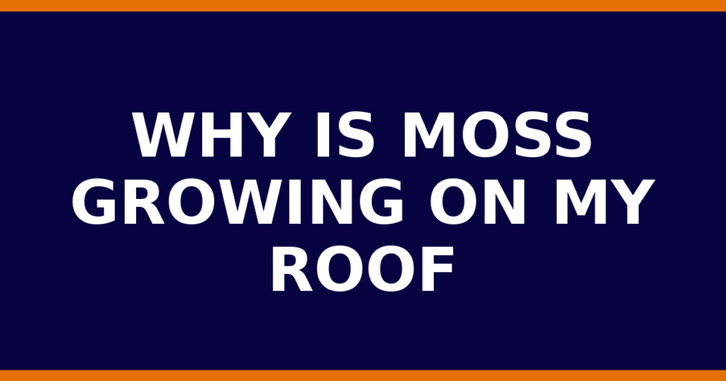 Why Is Moss Growing On My Roof